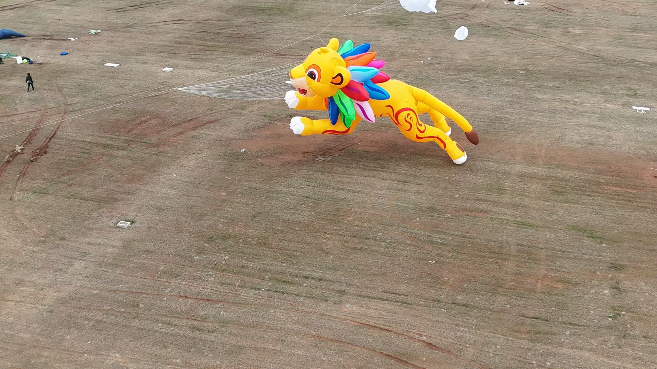 合肥市品牌风筝定制品牌风筝定制 - 推荐