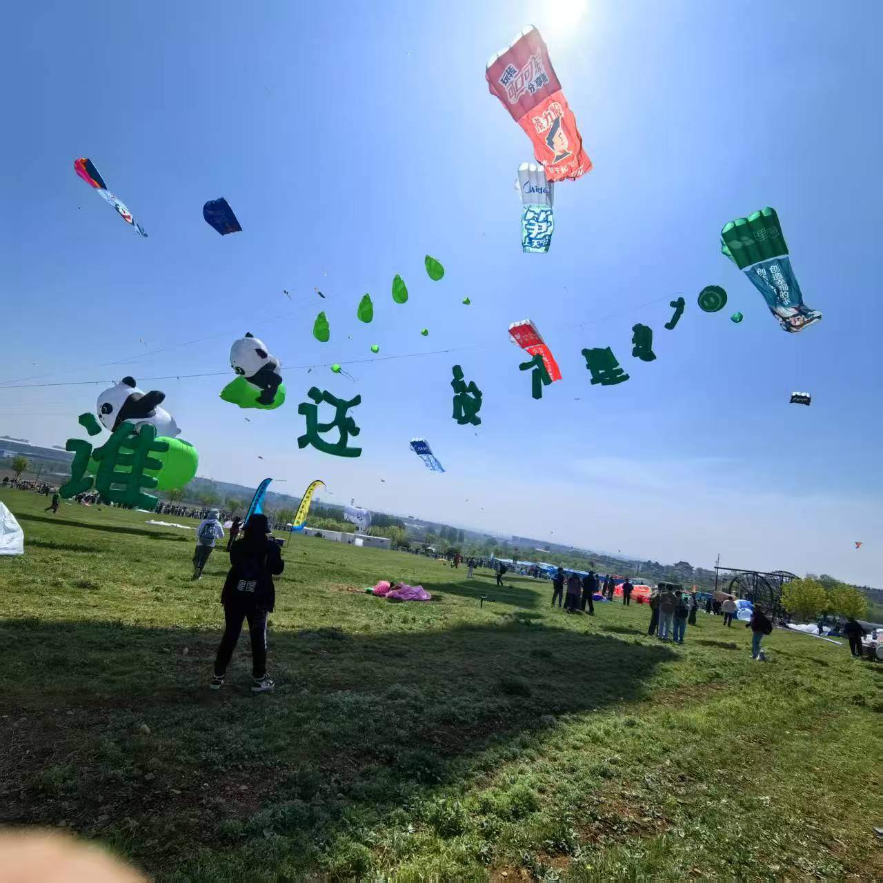 合肥市风筝定制风筝定制 - 哪里好